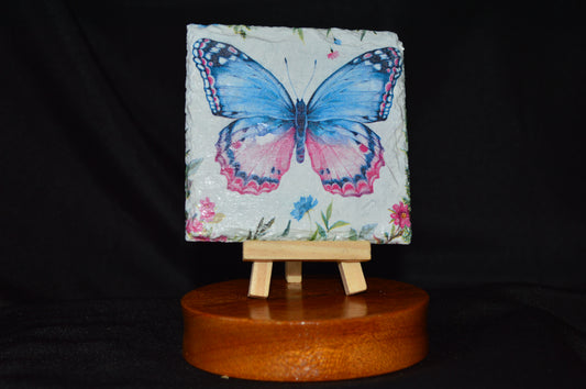 Large Butterfly Coaster