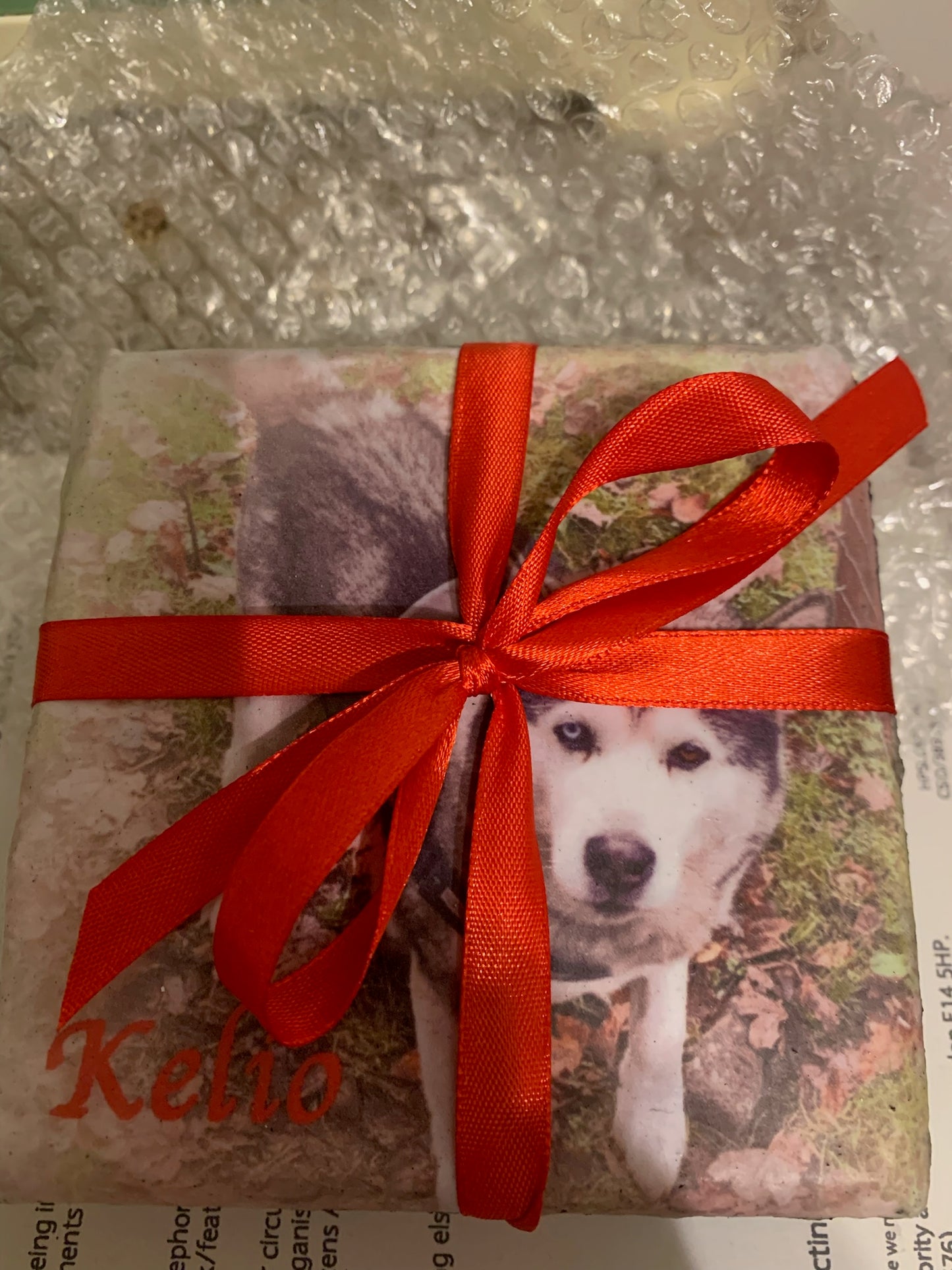 Family Dog Coaster