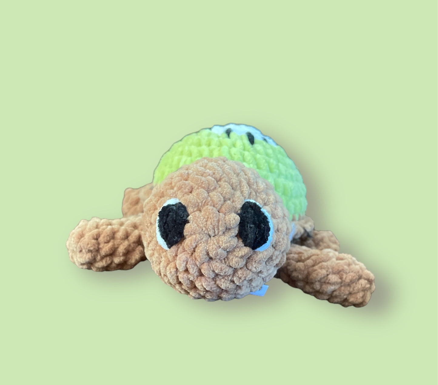 Kiwi Turtle